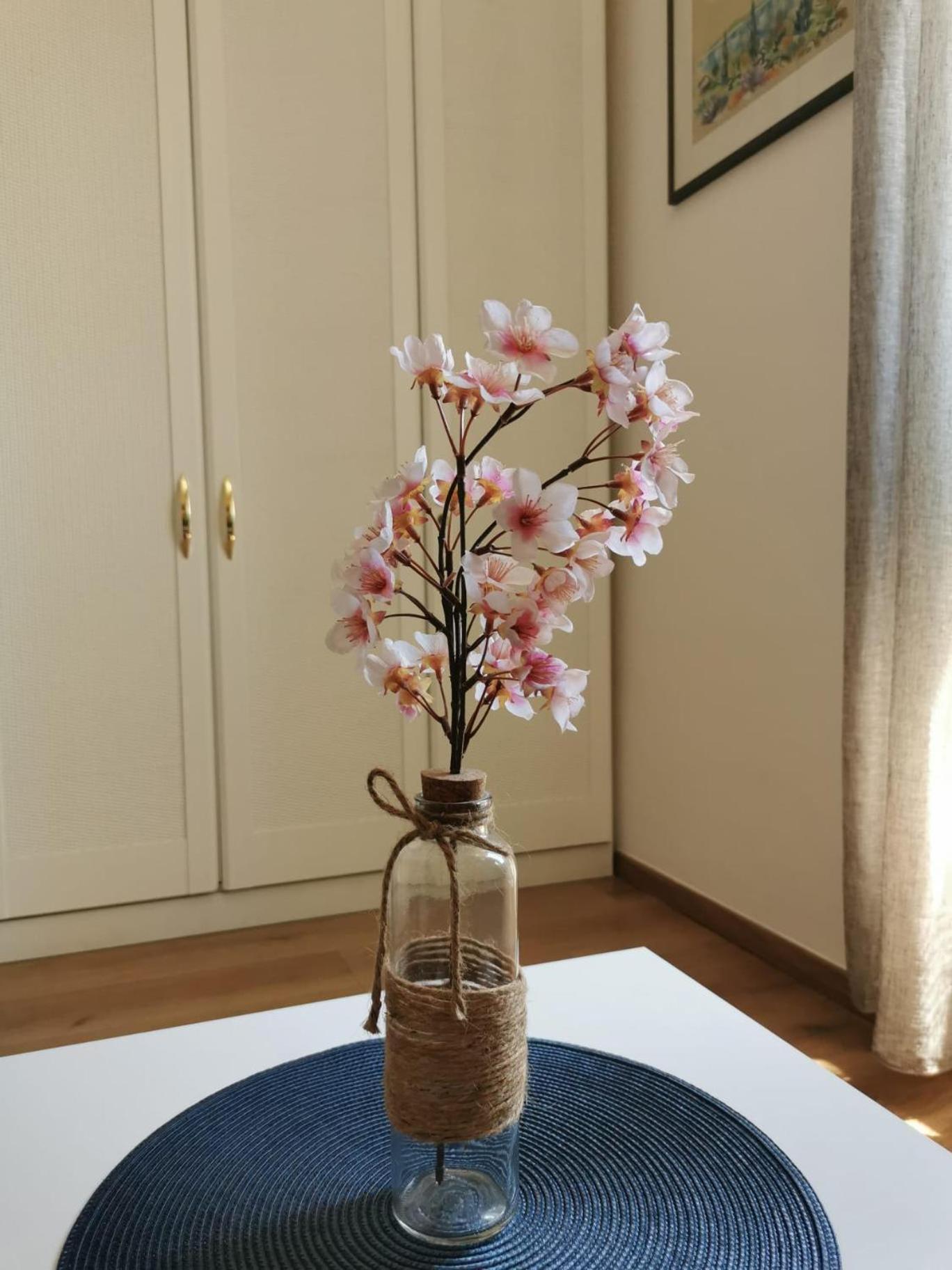Oasis Apartment Zadar Dış mekan fotoğraf